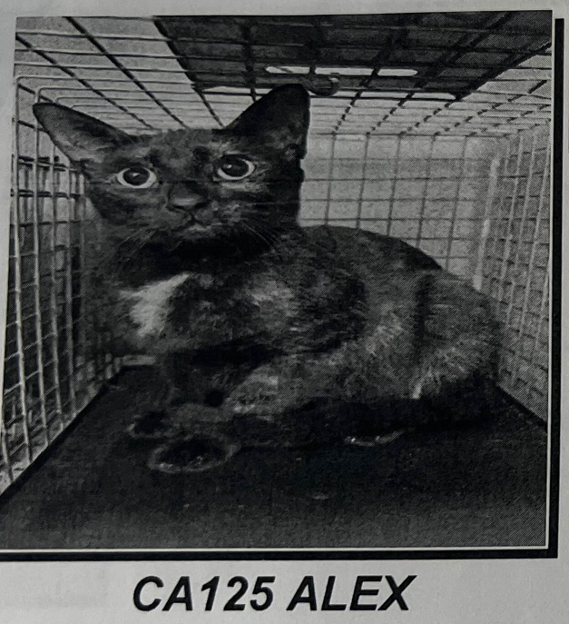 Baby in a cage