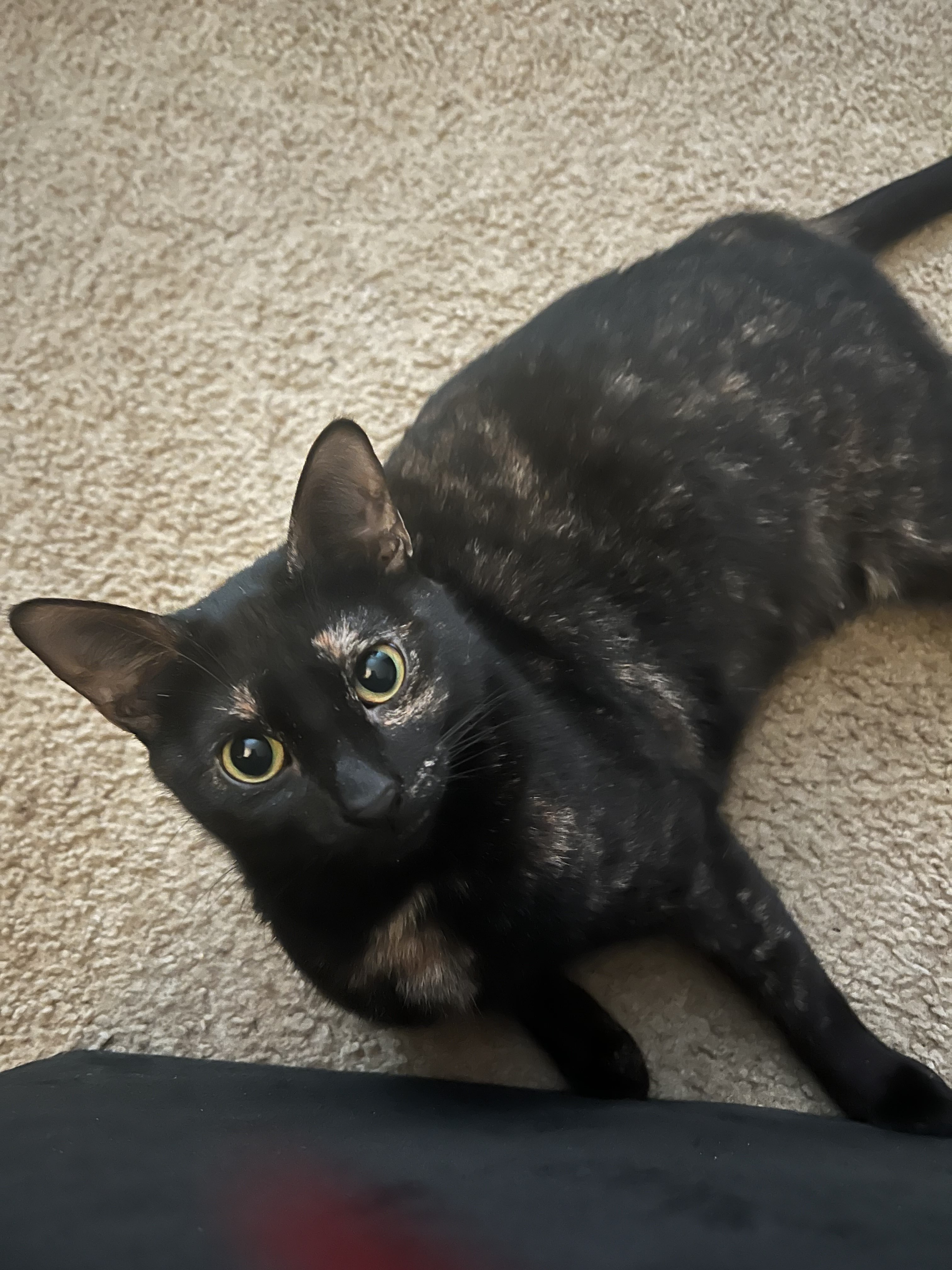 Photo of Baby